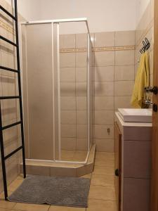 托尔明Apartma Humar的浴室里设有玻璃门淋浴