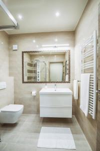 毛科Premium Apartman的一间带水槽、卫生间和镜子的浴室