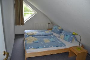 派克波特斯耐兹库佩奇假日公寓酒店的一间卧室配有一张带蓝色床单的床和一扇窗户。