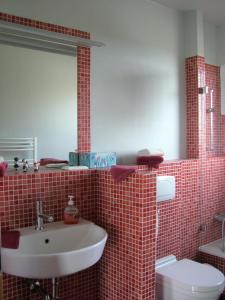 Usedom Town哈弗边纱架庭院公寓的一间带水槽、卫生间和镜子的浴室
