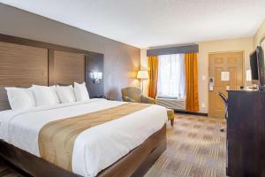 维拉里卡Quality Inn的酒店客房设有一张大床和一台电视。