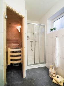 滨湖采尔AlpenParks Chalet & Apartment AreitXpress的带淋浴和步入式淋浴间的浴室