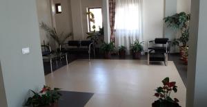 Cornu de Jos安瑞多旅馆的一间位于地板上的带椅子和植物的等候室