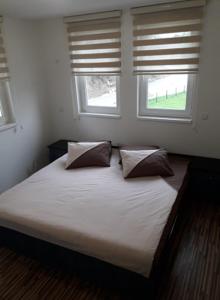 伊利扎Nadia's home的一间卧室配有带2个枕头的床和2个窗户。