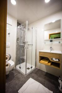内卡河畔弗赖贝格罗斯勒酒店的带淋浴、盥洗盆和卫生间的浴室