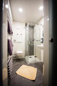 内卡河畔弗赖贝格罗斯勒酒店的带淋浴、卫生间和盥洗盆的浴室