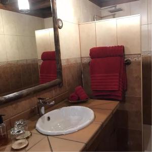 贝坦库里亚卡萨公主阿敏达酒店的浴室设有水槽、镜子和红色毛巾