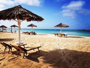 萨尔雷Apart-Hotel Ca Elsa的海滩上设有椅子和遮阳伞,还有大海