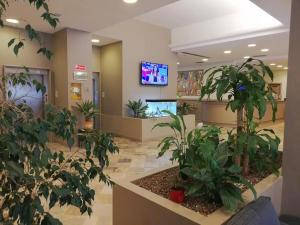法尔科纳拉·玛里提马图尔林酒店的医院大厅,种植了盆栽植物,配有电视