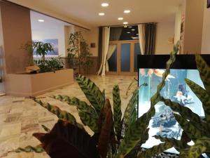 法尔科纳拉·玛里提马图尔林酒店的一间有鱼缸和植物的房间