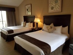 卡梅尔阿都比旅馆的酒店客房设有两张床和窗户。