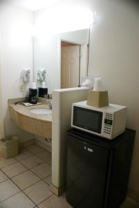 博伟公园考罗琳旅馆的浴室内台面上的一个微波炉