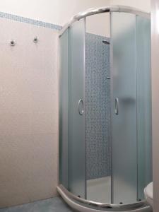 奥斯图尼Aurasia Alla Marina的浴室里设有玻璃门淋浴