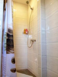 塞里特雷尼科Apartment Petra i Nikola的带淋浴的浴室和玻璃门