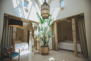 马拉喀什杜克斯图尔斯酒店的一间设有两张床和盆栽的房间