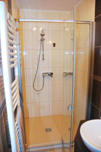 久洛Albatrosz Apartman的带淋浴的浴室