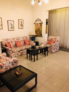 开罗very comfortable and cozy的带沙发和咖啡桌的客厅