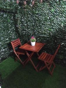 萨利切萨伦蒂诺ImPerfect Home的一张带两把椅子的木桌和盆栽植物