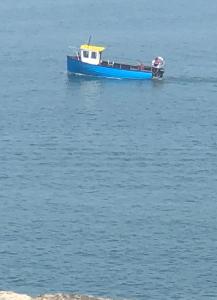 纽卡斯尔斯列维多纳德酒店的一条蓝色的船在水中