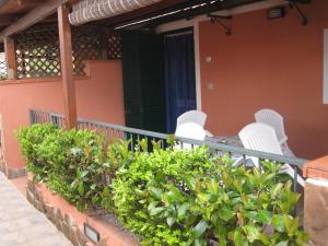 帕利努罗Casa Vacanze Mimose的阳台配有白色椅子和绿色植物