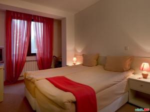 潘尼希特Hotel Temenuga的一间卧室配有一张带红色窗帘的大床