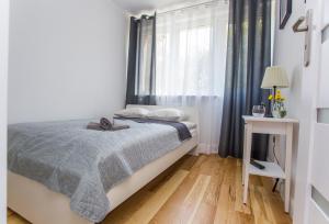 比亚韦斯托克CR Kameralny Apartament przy Pałacu Branickich的一间卧室设有一张床和一个窗口
