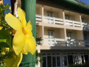 弗洛里亚诺波利斯圣塞巴斯蒂昂普拉亚酒店的建筑前一根柱子上的黄色花朵