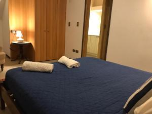巴拉斯港Borde lago I - II -III的一间卧室配有蓝色的床和两个枕头