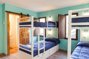 BolguesVilla Palatina的蓝色墙壁的客房内设有两张双层床。