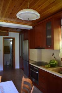 霍里顿Holiday Home Dionysis的厨房配有木制橱柜、水槽和炉灶。
