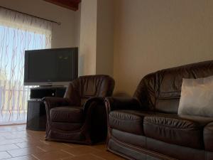 扎马迪Zamárdi Balaton View的客厅配有2把皮椅和平面电视