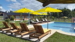 康考迪亚塞米拉公寓式酒店的一组椅子和遮阳伞,位于游泳池旁