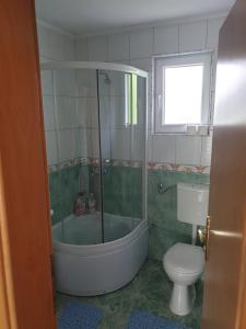 伊利扎Vacation home Djogic的带淋浴、卫生间和浴缸的浴室