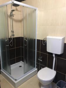 克鲁舍瓦茨Vladana LUX App的一间带卫生间和玻璃淋浴间的浴室