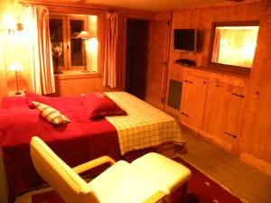 蒂涅CHALET GRINCH 90m2, 3 Sdb, skis aux pieds, wifi的一间卧室,卧室内配有一张床和一把椅子