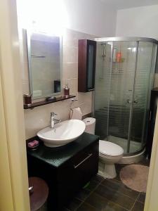 萨米Themis Apartments的一间带水槽、卫生间和淋浴的浴室