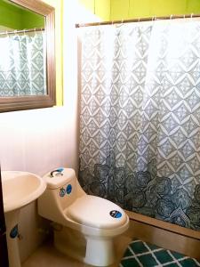 圣萨尔瓦多多纳玛塔住宿加早餐旅馆的一间带卫生间和淋浴帘的浴室