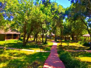 SekenaniMara Chui Eco-Resort的公园里一条长凳和树木的小径