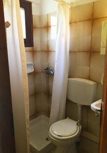 毕达哥利翁Sunshine Pension的一间带卫生间和淋浴的小浴室