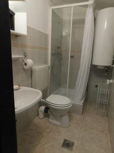 蒂豪尼Babamúzeum kis apartman的浴室配有卫生间、淋浴和盥洗盆。