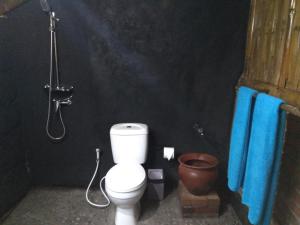 PenebelBali mountain forest cabin的一间带卫生间和淋浴的浴室