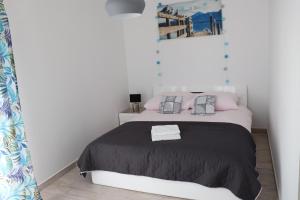 布斯克·兹德鲁伊Apartament Natalia的一间卧室配有一张带黑色毯子和枕头的床。