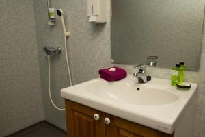 阿尔塔Gargia Lodge的浴室配有盥洗盆和带镜子的淋浴