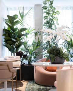 巴黎Hôtel Parisianer的一间种植了植物并配有桌椅的房间