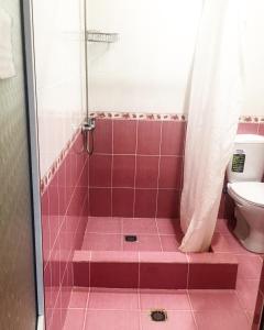 阿德勒Guest house on Kamyshovaya 12 a的浴室设有粉红色瓷砖淋浴和卫生间