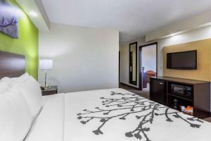 坦帕布希花园附近司丽普酒店-USF的一间卧室配有一张床和一台平面电视