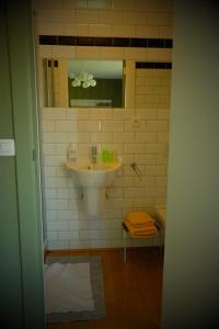 蒙斯B&B Compagnons11的一间带水槽和镜子的浴室