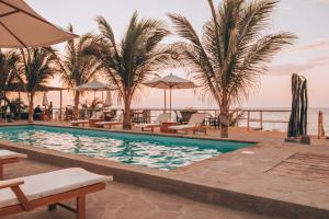 卡诺阿斯德蓬萨尔Baja Canoas Hotel的棕榈树和椅子的度假村的游泳池