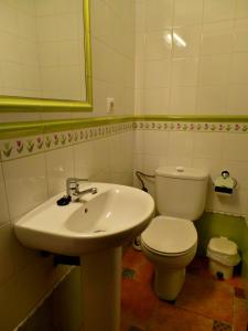 布伦切尔Alojamiento Rural Marina的浴室配有白色卫生间和盥洗盆。