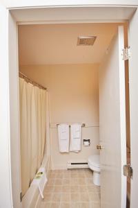 贝塞尔River View Resort的带淋浴、卫生间和毛巾的浴室